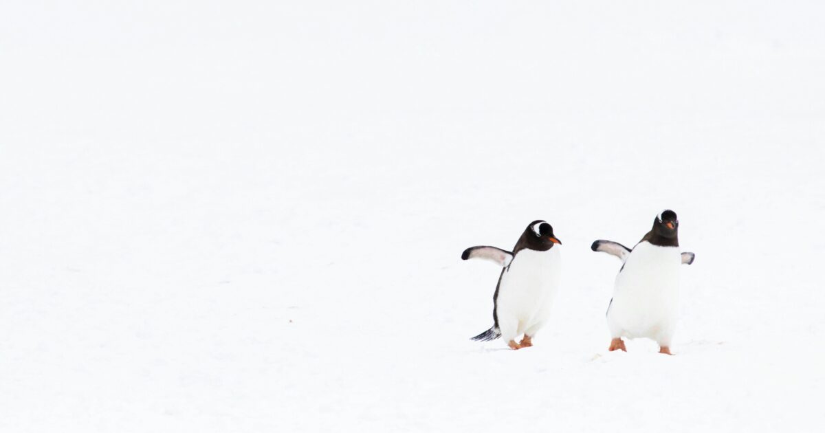 夫婦仲良しという「結果」よりも、大切にしたいこと